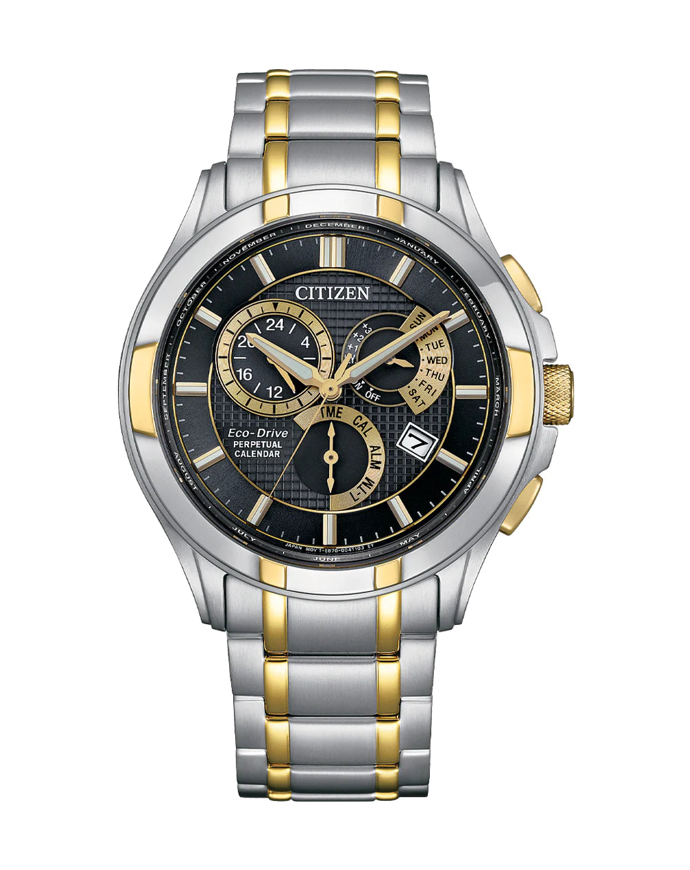 Citizen Perpetual Eco-Drive Watch (Black Dial)