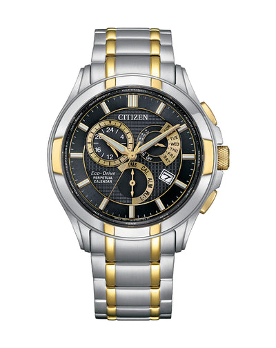 Citizen Perpetual Eco-Drive Watch (Black Dial)