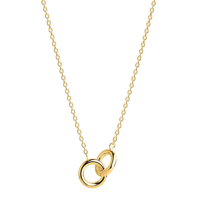 Embrace Goldtone Necklace