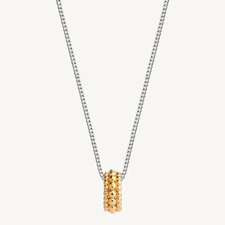 Chia Two-Tone Necklace